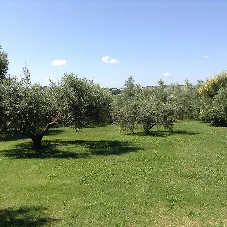 Bed & Breakfast Trecentolivi *