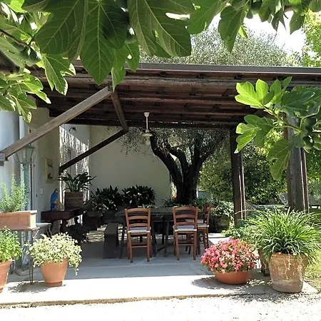 Trecentolivi Bed & Breakfast 3*