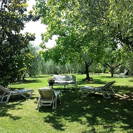 Bed & Breakfast Trecentolivi 3*