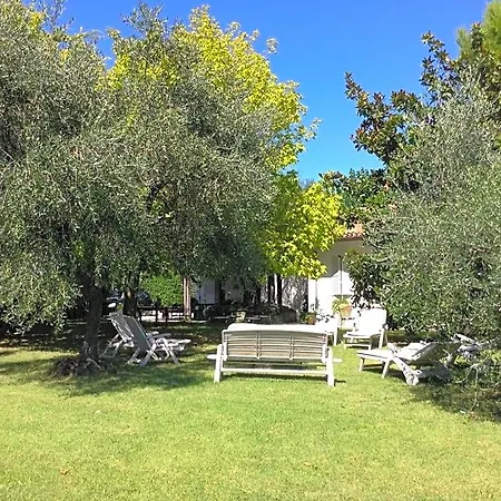 Trecentolivi Bed & Breakfast Montignano