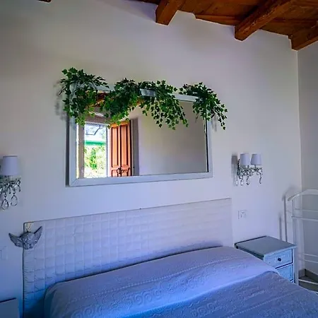 Trecentolivi Bed & Breakfast Montignano
