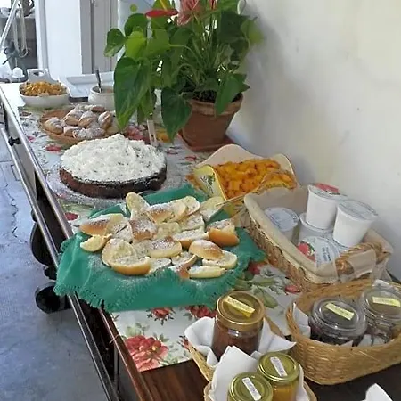 Trecentolivi Bed & Breakfast