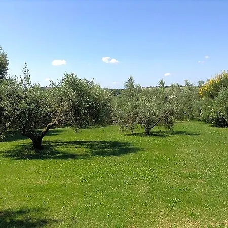 Trecentolivi Montignano