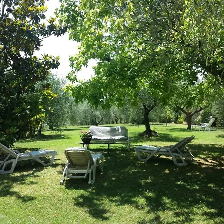 Trecentolivi Bed & Breakfast *