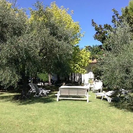 Bed & Breakfast Trecentolivi *