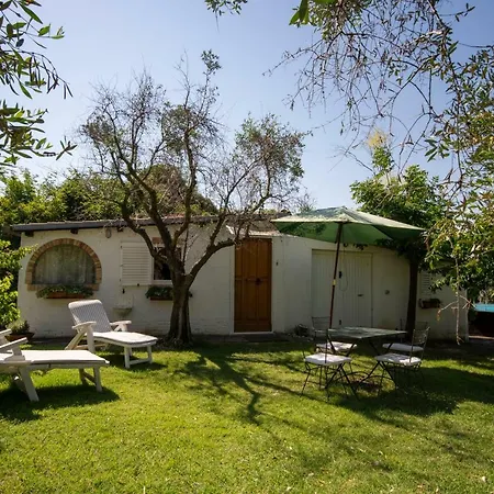 Trecentolivi Couette-café