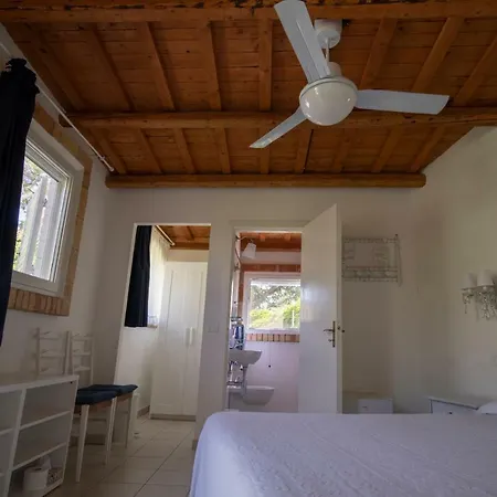 Bed & Breakfast Trecentolivi *