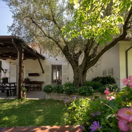 Trecentolivi Bed & Breakfast