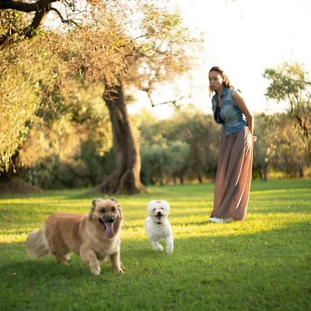 Trecentolivi Montignano