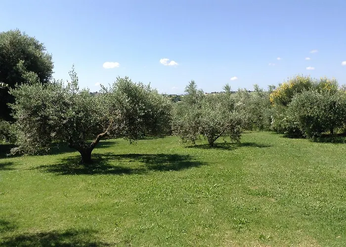 Couette-café Trecentolivi 3*