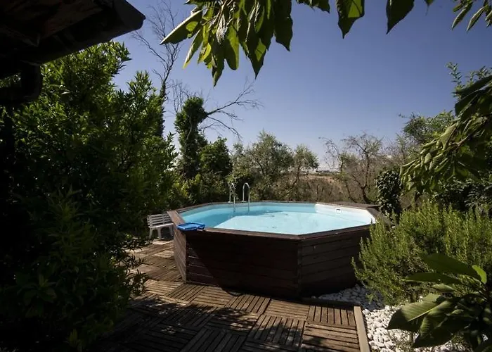 Trecentolivi Montignano