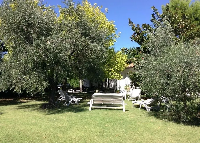 Couette-café Trecentolivi 3*