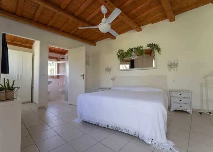 Trecentolivi Montignano