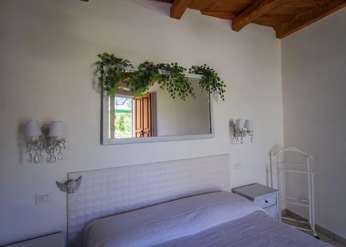 Couette-café Trecentolivi