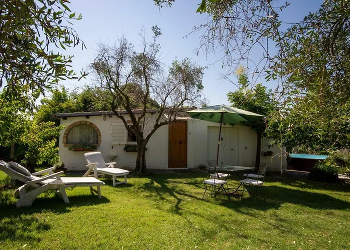 Trecentolivi Couette-café