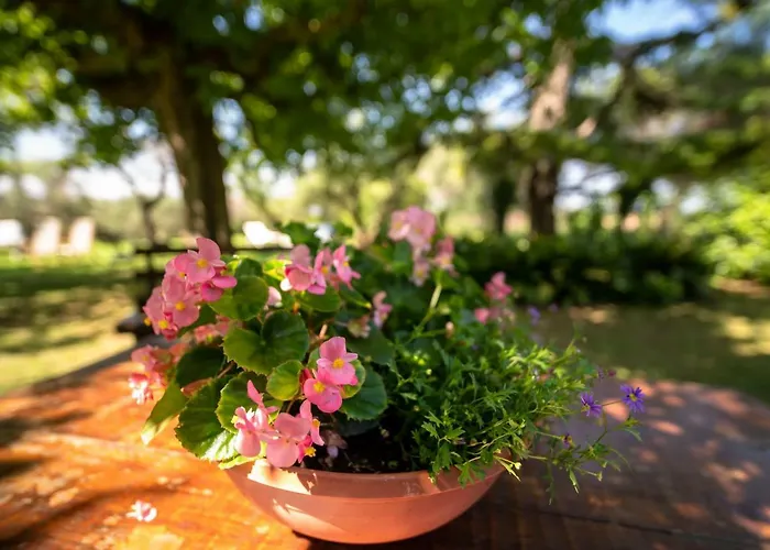 Trecentolivi Couette-café 3*