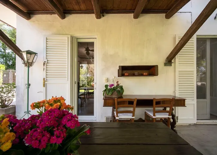 Trecentolivi Montignano