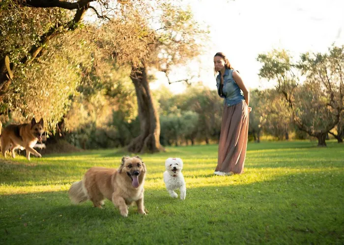 Trecentolivi Montignano